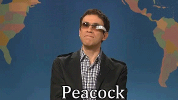 fred armisen television GIF by Saturday Night Live