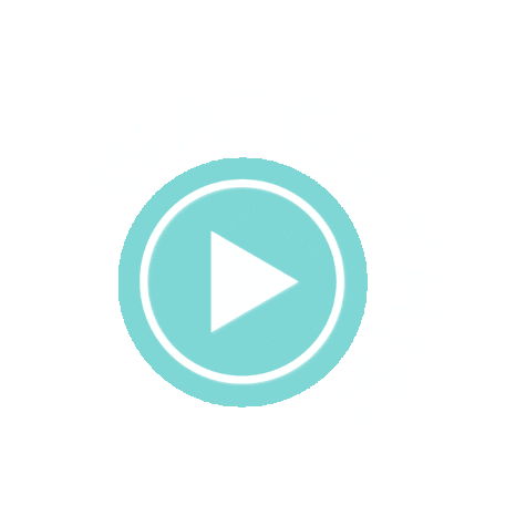 Video Sticker