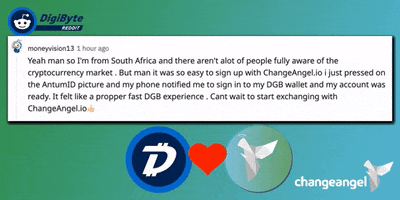 South Africa Bitcoin GIF by changeangel