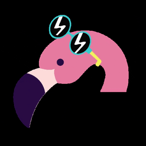 Colégio dos Arcos GIF