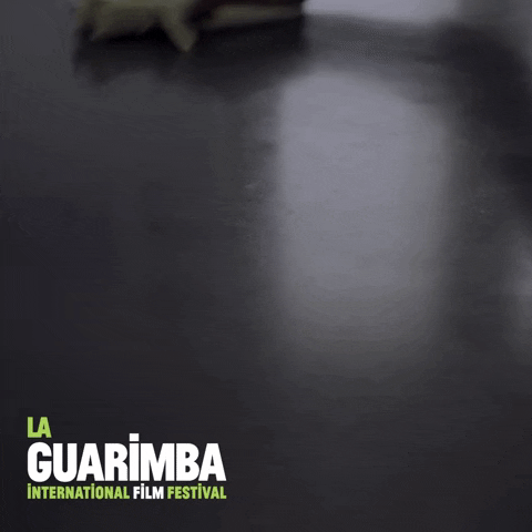Tidying Up Whatever GIF by La Guarimba Film Festival