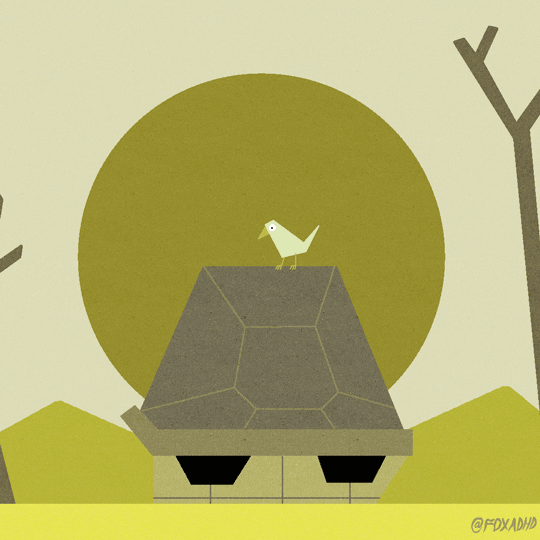 giant tortoise fox GIF by Animation Domination High-Def