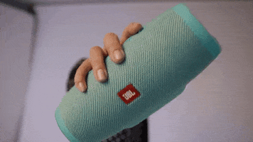 JBL Flip 6