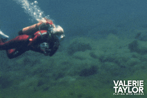Valerie Taylor Ocean GIF by Madman Films