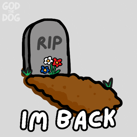 Im Back No Way GIF by God The Dog