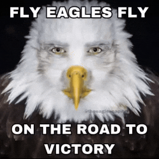 Philadelphia Eagles GIF