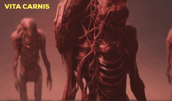 Vhs Meat GIF by Komplex