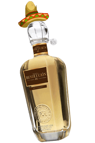 Party Nightlife Sticker by Tequila Revolución USA