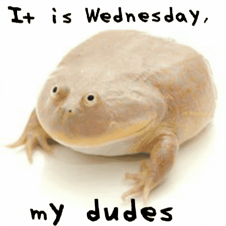 It Is Wednesday My Dudes GIF by hamlet