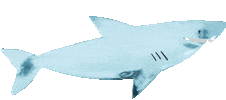 Little Mermaid Fish Sticker by Meri Meri