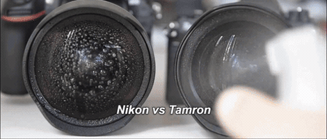 petrlachtan  GIF