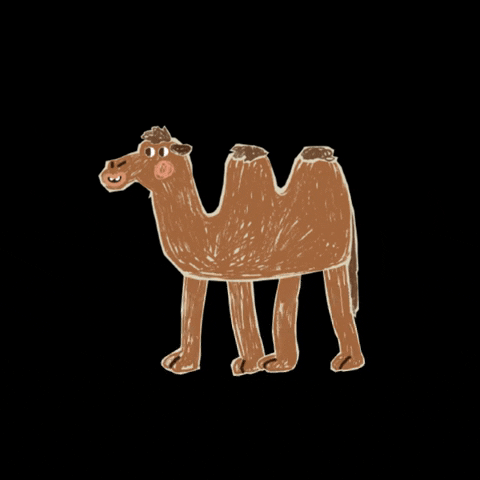 Eisprung happy walking camel eisprung GIF