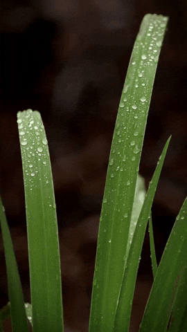 Mood GIF