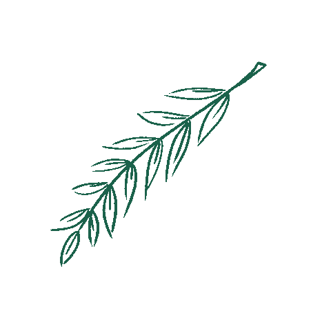 Листья Sticker