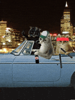 The Streets Cat GIF by Scorpion Dagger