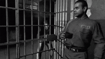 Call Of Duty Zombies GIF