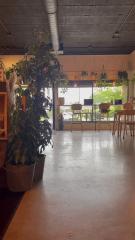 Cafe Conmigo GIF