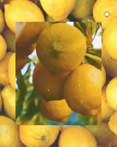 Fall Weekend GIF by Milagro Tequila