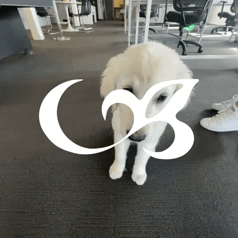 Penrose Realty GIF