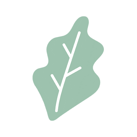 Spring Leaf Sticker by Ali & Oli Baby Shop