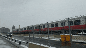 erinvirginia  GIF