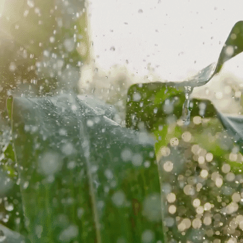 Watergen GIF