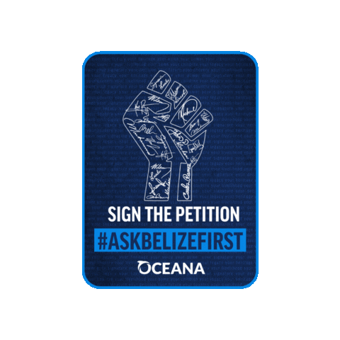 Oceana In Belize Sticker