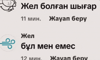 Қазақша Мемдер GIF
