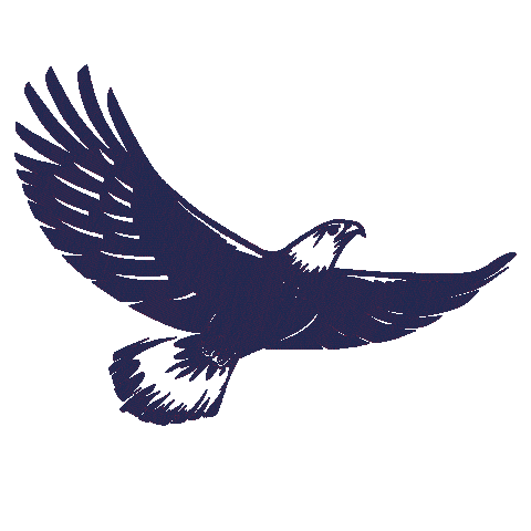 Sınav Yayınları Sticker