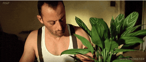 Best Friend Plant GIF