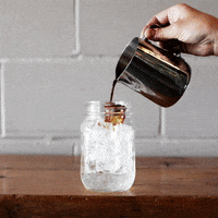 Iced Coffee Toronto GIF by Pilot Coffee Roasters