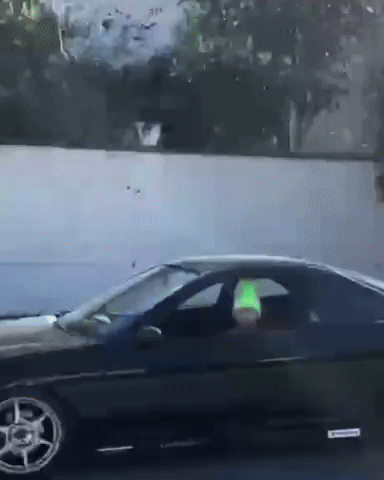 Wtf GIF