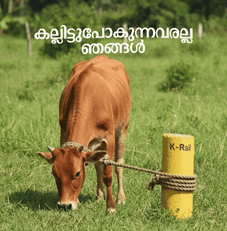 Pinarayi Vijayan Congress GIF