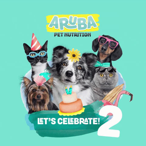 Arubafeelgood GIF by Aruba Pet Nutrition