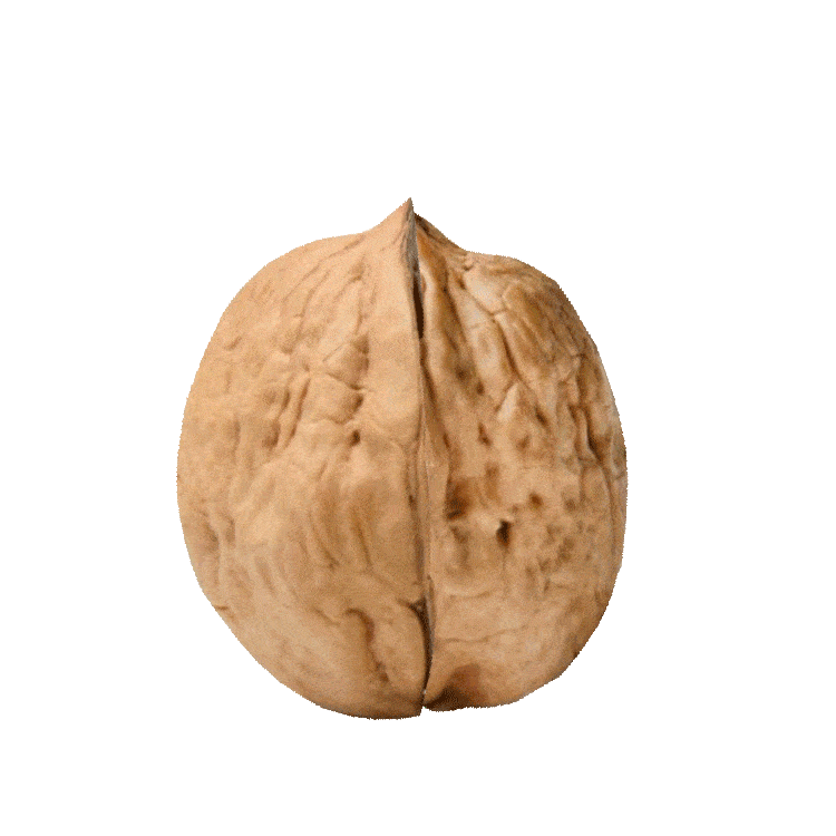 Victoria Cruz Sticker by ESN Oviedo