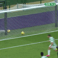Come On Celebration GIF by Celtic Football Club