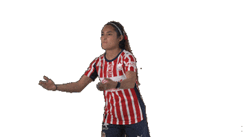 Liga Mx Futbol Sticker by Chivas Oficial