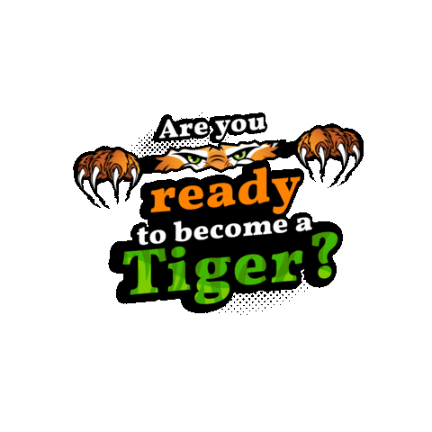 American Nicaraguan School Sticker