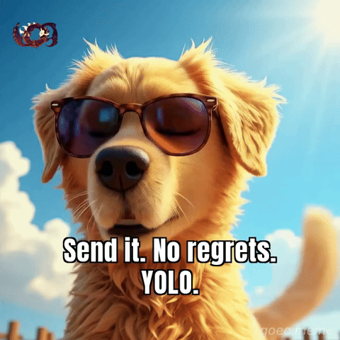 No Regrets Yolo GIF by Goeememe