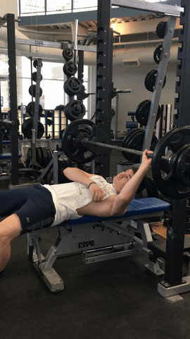 paulaandreapiedrahita  GIF