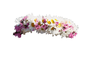Flower Jani Sticker by LVM
