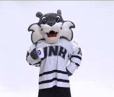 new hampshire coffee GIF by University of New Hampshire