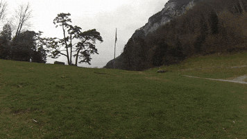 benjaminvonwyl  GIF