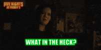 What In The Heck GIF by Five Nights At Freddy’s