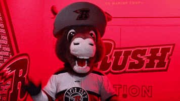 Excited South Dakota GIF by Rapid City Rush