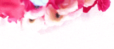 Fueled By Ramen Flower GIF by Meet Me @ The Altar