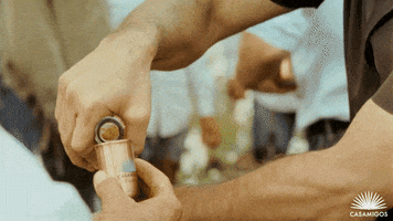 cheers drinking GIF by Casamigos