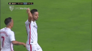 celebration goal GIF by Sevilla Fútbol Club