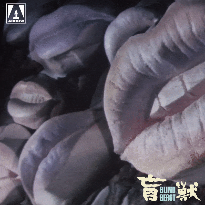 Lips Mouth GIF by Arrow Video