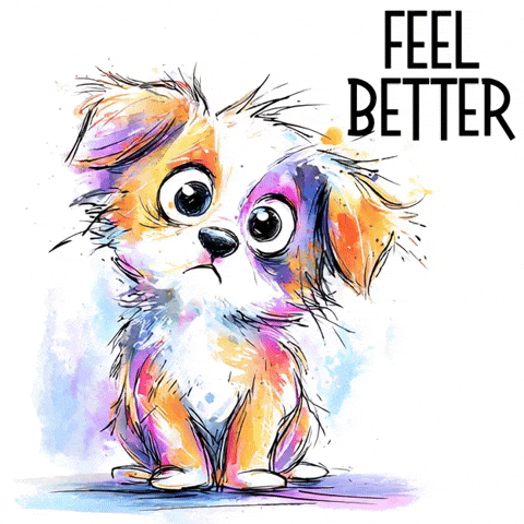 Feel Better Get Well GIF